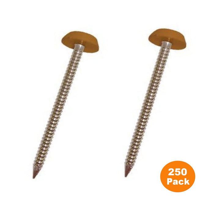 250 x 30mm Light Oak / Tan UPVC Poly Top Pins    [B&N]  (0189) ^^