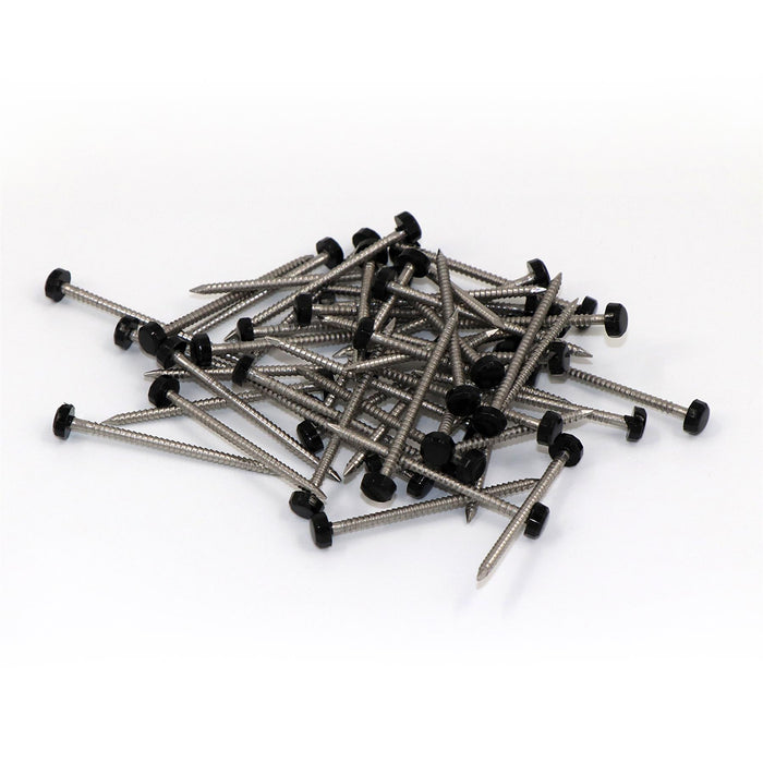 50 x 40mm Black UPVC Poly Top Pins [B&N] (0073)